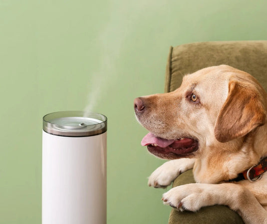 THERAPEUTIC AROMATHERAPY INHALATION FOR ANIMALS