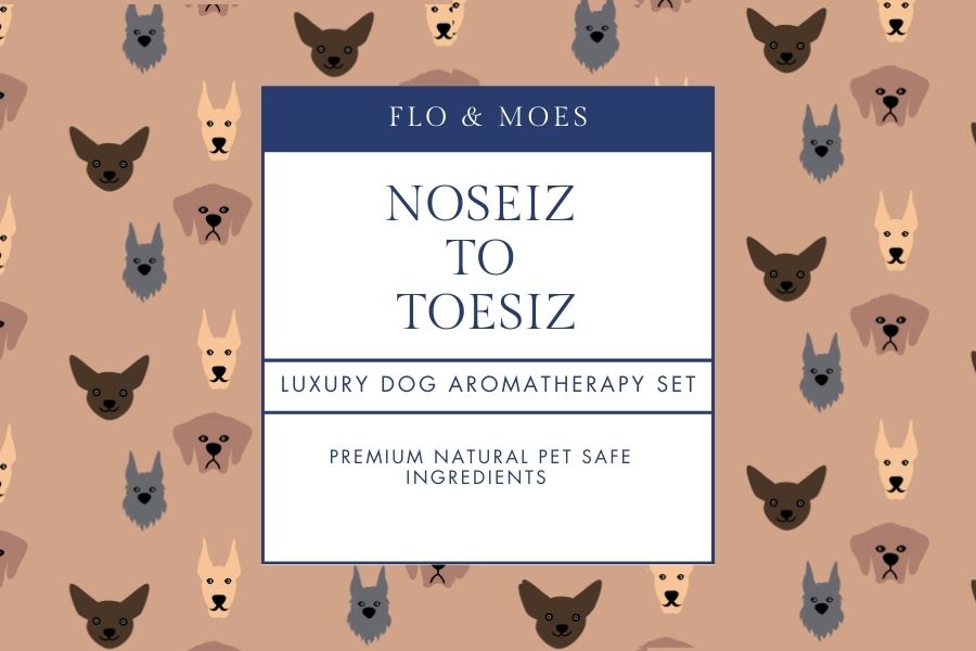 NOSEIZ TO TOESIZ Aromatheraphy Pampering Set for Dogs (8 products)