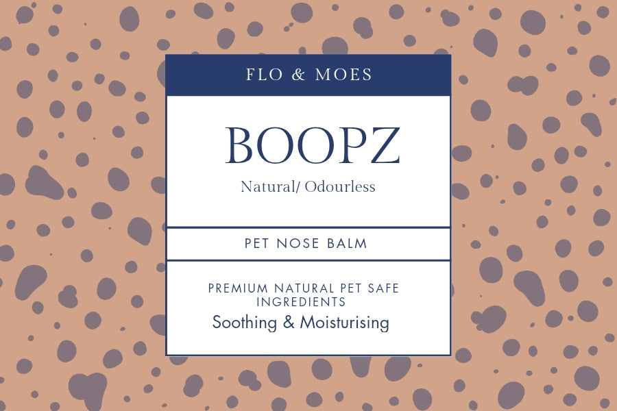NOSEIZ TO TOESIZ Aromatheraphy Pampering Set for Dogs (8 products)