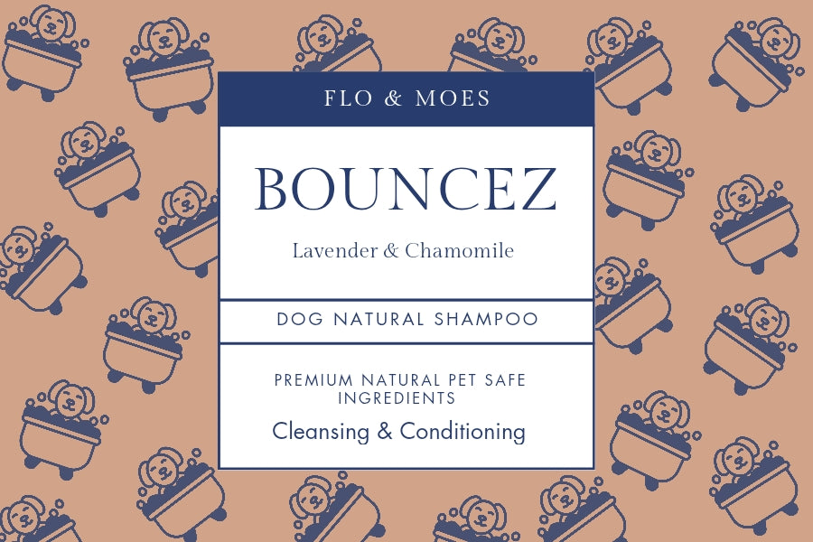 NOSEIZ TO TOESIZ Aromatheraphy Pampering Set for Dogs (8 products)