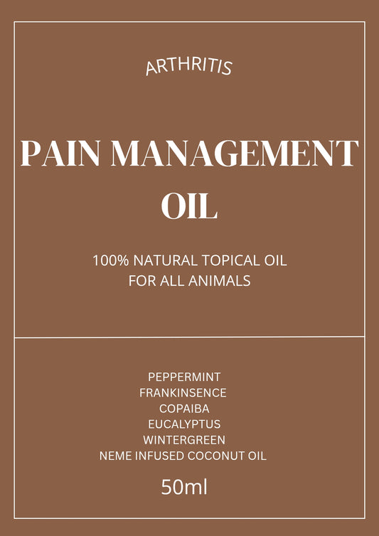 ARTHRITIS CARE MASSAGE OIL ( Dog & Large Animal)