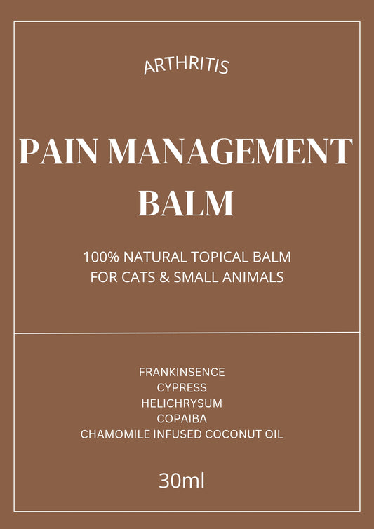 ARTHRITIS CARE MASSAGE OIL ( Cats & Small Animals)