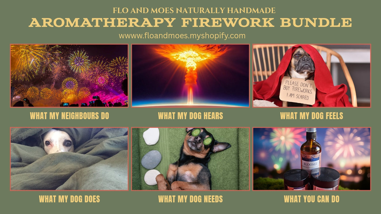 Firework Calming Aromatherapy Kit For Dogs