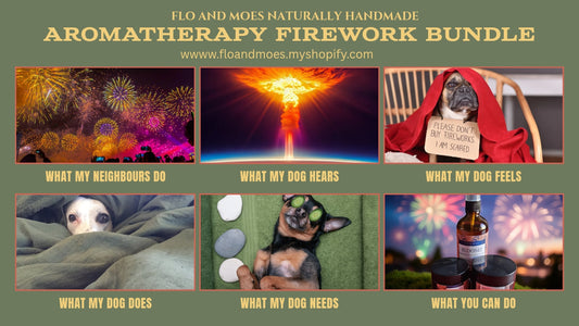 Firework Calming Aromatherapy Kit For Dogs