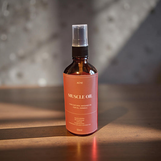 ACHE Massage Oil (All Animals)
