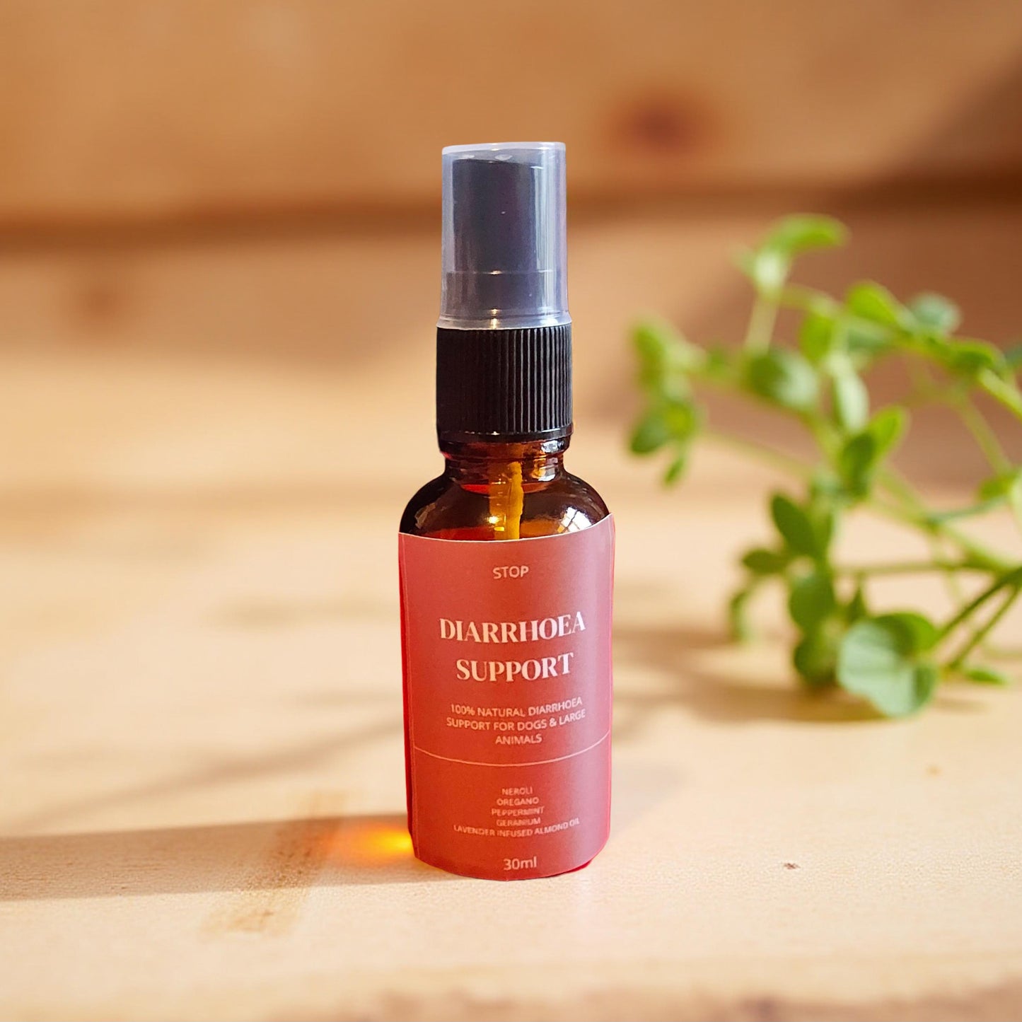 STOP Diarrhoea Support Oil ( Dogs and Large Animals)