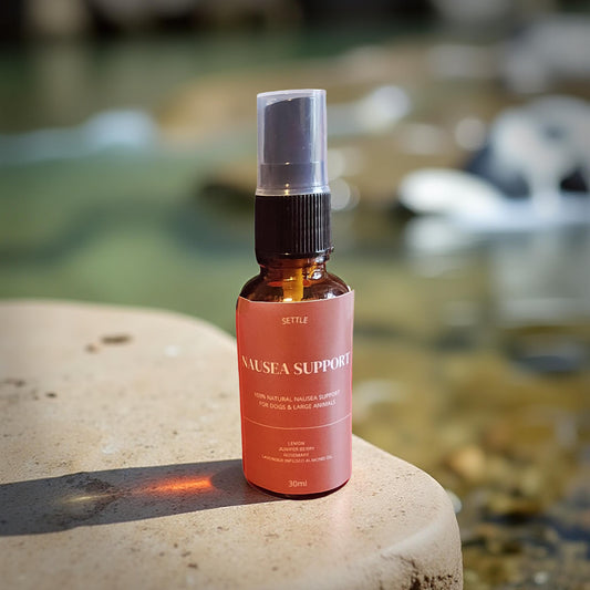 SETTLE Nausea Support Oil ( Dogs and Large Animals)