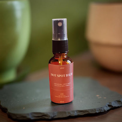 SETTLE Nausea Support Oil ( Cats and Small Animals)