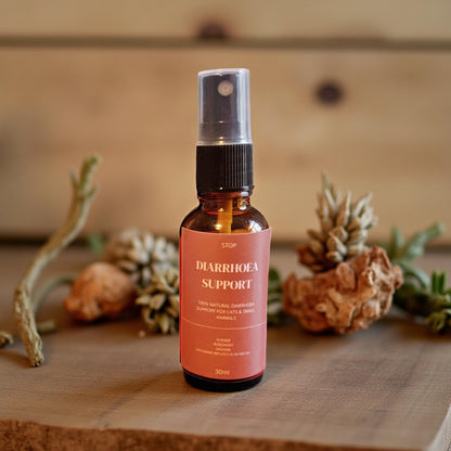 STOP Diarrhoea Support Oil ( Cats & Small Animals)