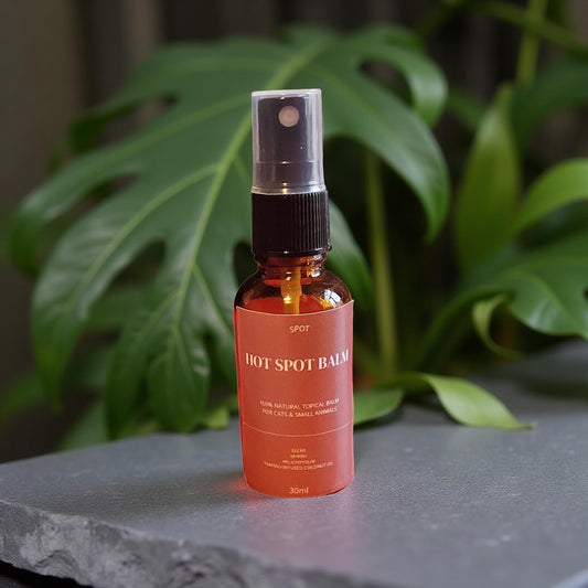 SPOT HOTSPOT TOPICAL OIL( Cats & small animals)