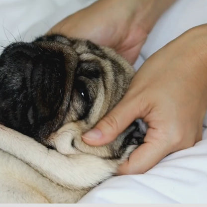 BUFFZ Aromatherapy Massage Oil for Dogs (Ylang Ylang, Clary Sage & Chamomile) 30ml dropper bottle